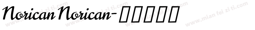 Norican Norican字体转换